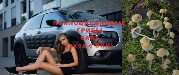 гидропоника Белокуриха